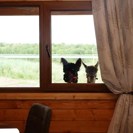 Alpaca My Bags! @ Andean Alpacas Lodge Mullingar